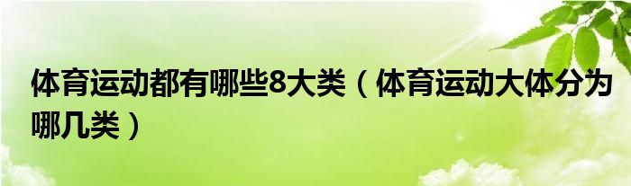 体育运动都有哪些8大类（体育运动大体分为哪几类）